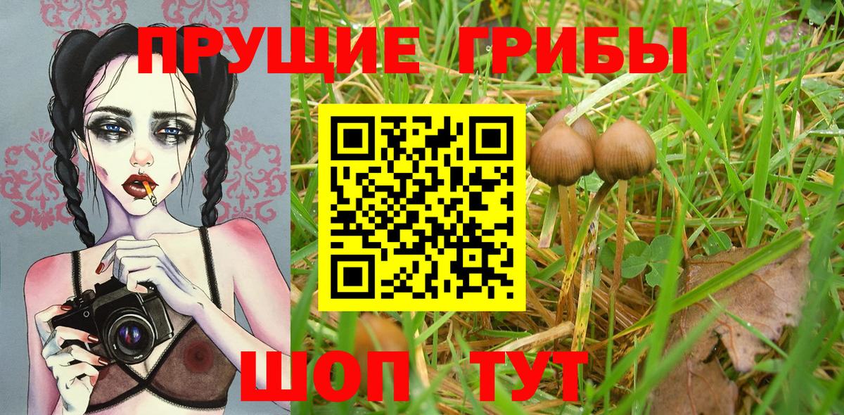 Псилоцибиновые грибы MAGIC MUSHROOMS  Галлюциногенные грибы MAGIC MUSHROOMS  Вход с VPN  Коломна 